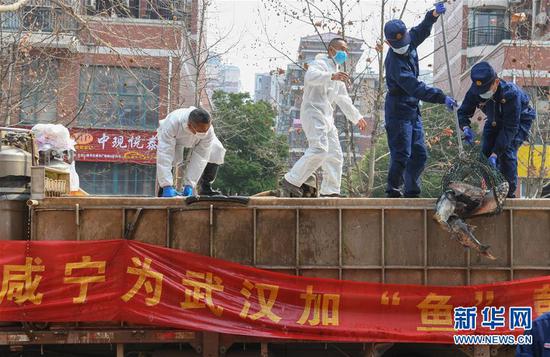 3月13日，一批運到湖北省武漢市硚口區(qū)華生漢口城市廣場社區(qū)的活魚在卸貨。當(dāng)日，首批100噸調(diào)配自咸寧市的活魚運抵武漢市硚口區(qū)11個街道下轄社區(qū)。 新華社記者 程敏 攝
